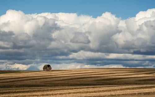Alberta farm landscape with modern equipment and golden fields