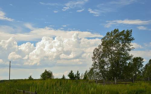 Alberta family reviewing climate action incentive paperwork with a prairie home in the background