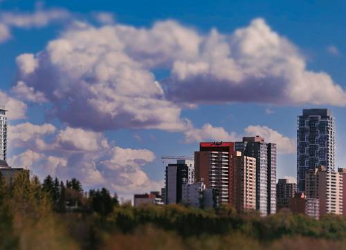 Alberta tax forms with Calgary skyline in the background, representing provincial tax breaks in Alberta