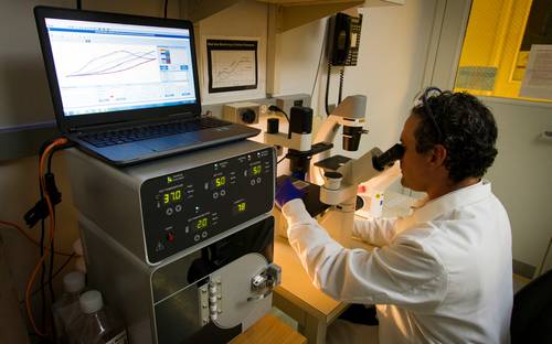 Modern innovation or R&D lab in New Brunswick with professionals working together