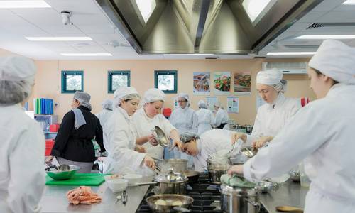 Ontario business team with apprentices and co-op students engaged in hands-on training