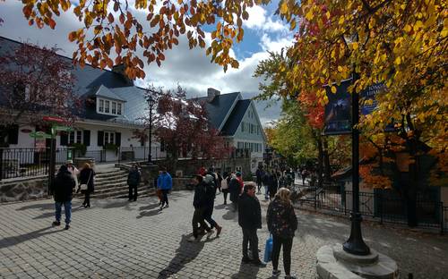 Quebec university campus with students, books, and tax forms representing education credits